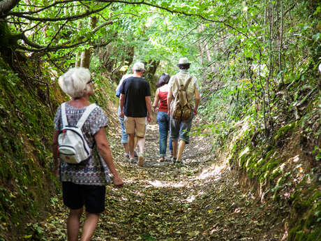 La Vallée de la Chéronne