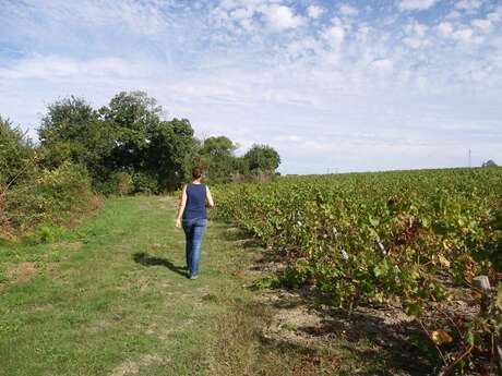 BOUCLE CIRCUIT DE LA HAUTE CHAPELLE
