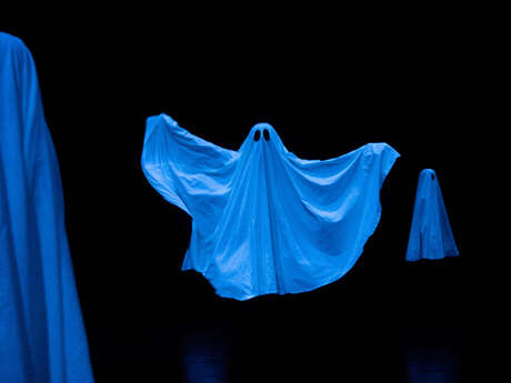 PILLOWGRAPHIES