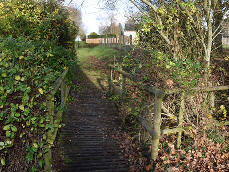 Verneil-le-Chetif - Entre vallons et forêt de Bercé