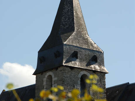 Luceau - le petit bois sacré
