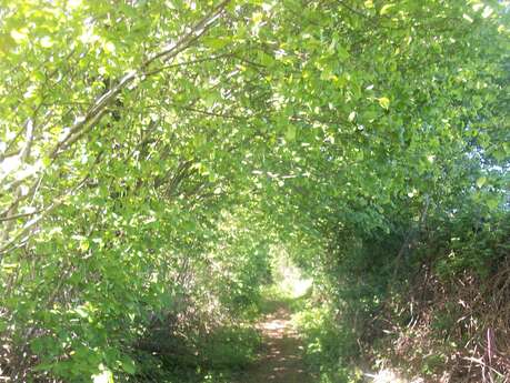 LA CHAPELLE AU RIBOUL - SENTIER DU GUÉ MARIE