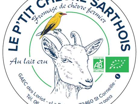 Le p'tit chèvre Sarthois