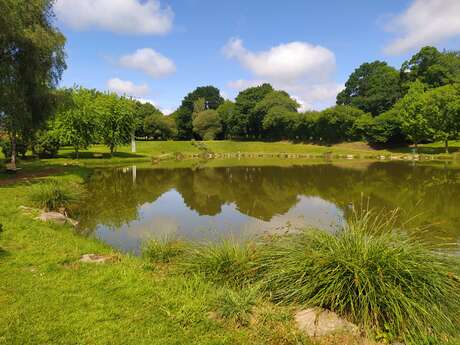 Pêche en étang - Montaudin