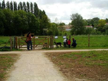 Espace La Coulée de la Logne