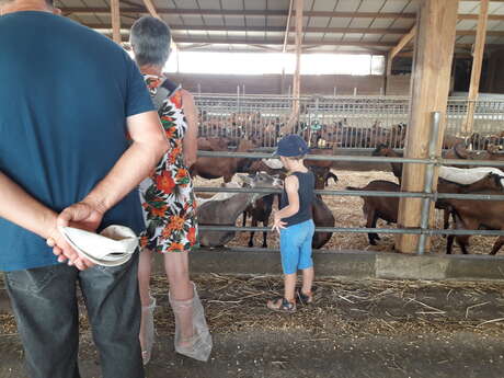 A LA DÉCOUVERTE DE NOS FERMES