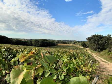 BOUCLE CIRCUIT MOULINS ET CHATEAUX
