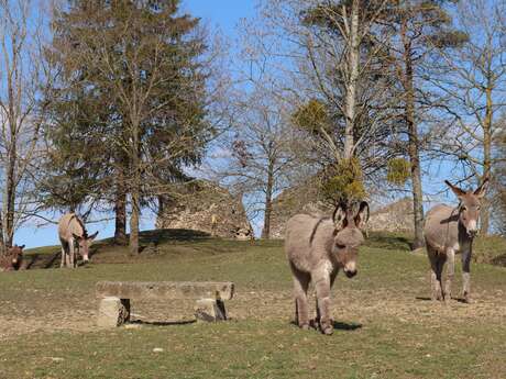 Parc animalier