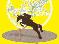 HORSERIDING - LES ÉCURIES DU PÂTIS