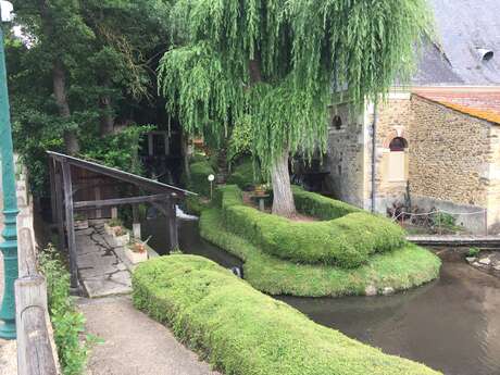 Clermont-Créans - Parmi bois, chevreuils et blaireaux