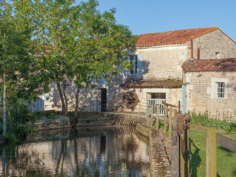 LES JOURNÉES EUROPÉENNES DU PATRIMOINE - MAISON DE LA MEUNERIE