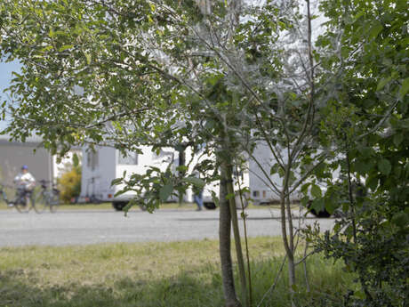 Aire d'accueil de la Brique à Changé