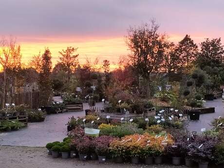 Pépinières Ripoche