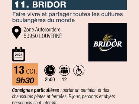 BRIDOR