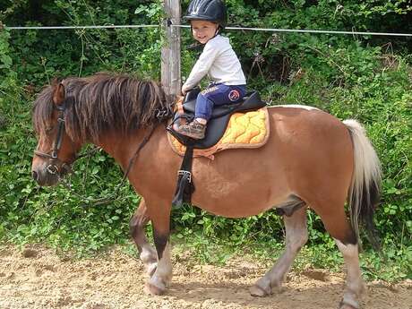Poney-club des brumes
