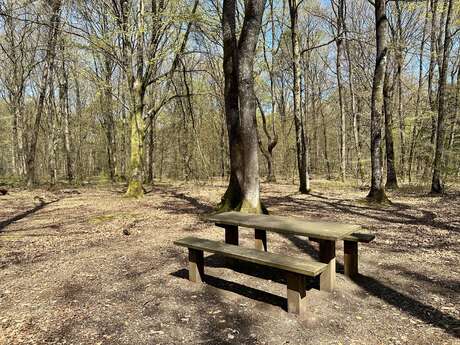 Aire de pique-nique du Bois de l'Huisserie