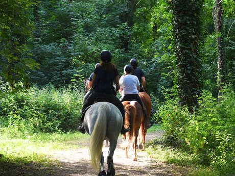 Boucle du Lion d'Angers, entre rives et villages de charme