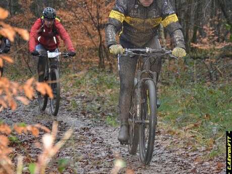 C.A. EVRON VTT