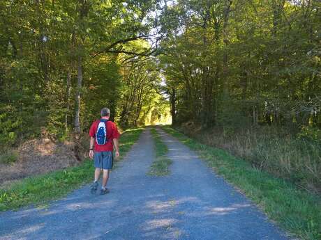 BOUCLE CIRCUIT DE MAINE EN VIGNES