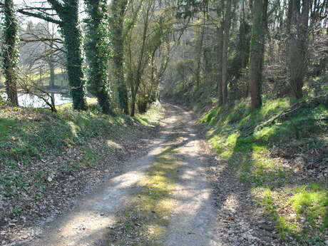 22 LA HAUTE VILAINE