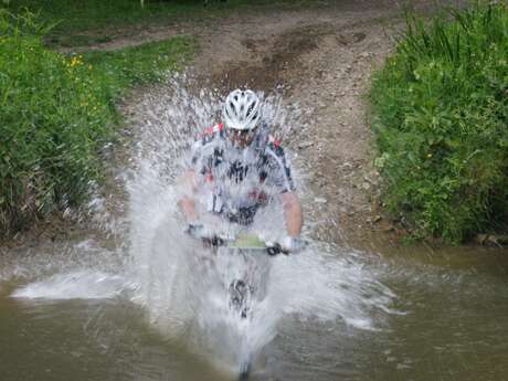 CIRCUIT VTT N°7 - TOUR DE LA FORÊT DE PAIL ET DES ALPES MANCELLES (BASE FFCT LES PERLES)