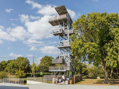 BOUCLE BRIERE VELIDEALE