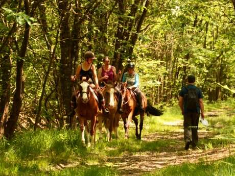 SENTIER DE RANDONNÉE DES BAUGES À MONTPOLLIN