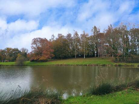 Aire de pique-nique - Fougerolles-du-Plessis
