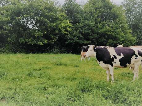 FERME BIO