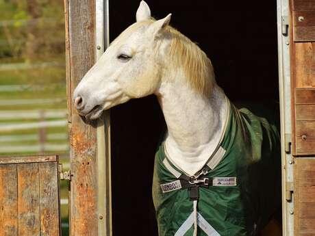 HALTE EQUESTRE DU REFUGE MONTAIGU