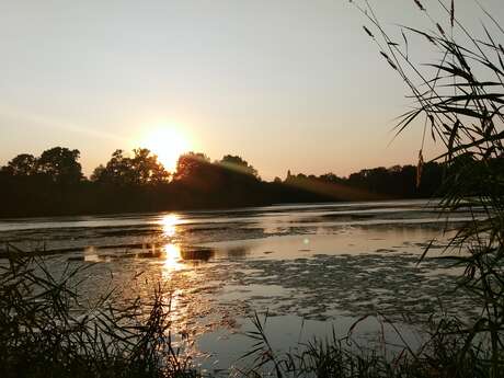 Plan d'eau de pêche sportive en no kill d'Olivet