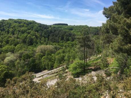 Monts et Marches trail "Histoires géologiques"
