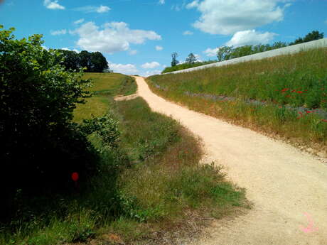Circuit VTT du Tuffeau par Monts et Vaux