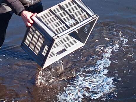 Pêche à l'étang de la Blandinière