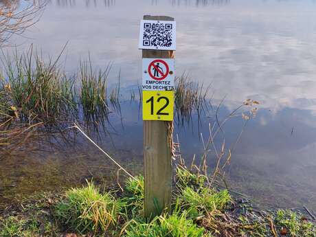 Petit plan d'eau des Rouanneraies pour la pêche de la carpe - 8HA