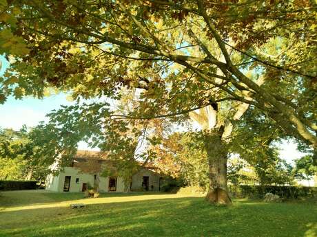 Domaine de L'Ecorce - Gîte de la Bergerie