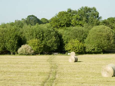 Gîte My French Location - La Mésange