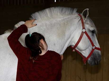 EQUICOACHING AU DOMAINE DES ECUYERS