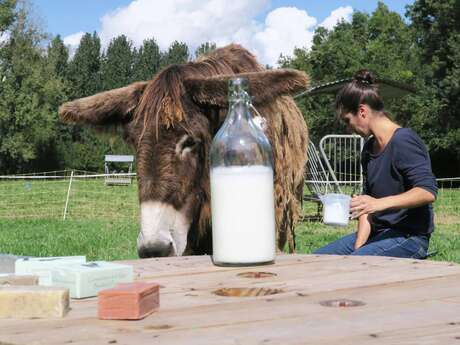LA FERME DU MARAIS POITEVIN - BOUTIQUE PRODUITS FERMIERS
