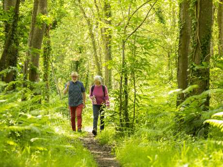 Boucle des Mésangères
