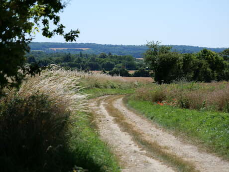 Autour du Saint-Symphorien