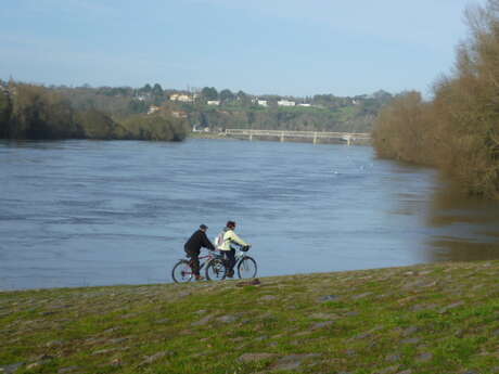 La Loire à La Chapelle-Basse-Mer