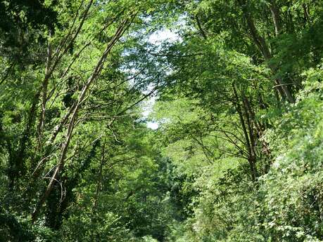 Circuit des deux chênes