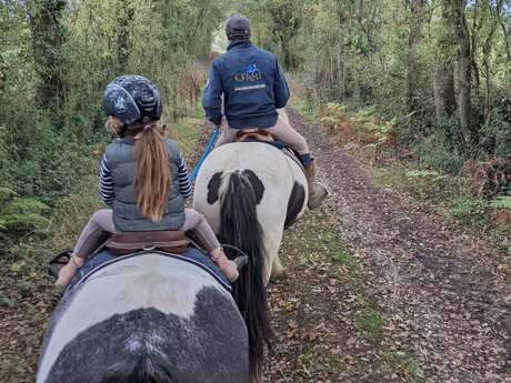 Centre équestre O'reil Equitation