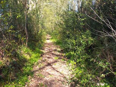 Pruillé-l'Éguillé - la boucle du Clairet