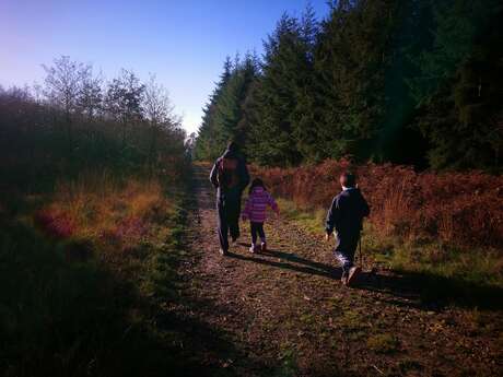 Randonnée pédestre de Noël