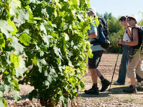 Lhomme - Escapade autour du Jasnières