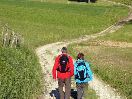 ELa Chapelle-d'Aligné - Circuit de l'Argance