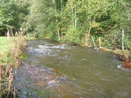 Parcours pêche no kill truite du Teilleul