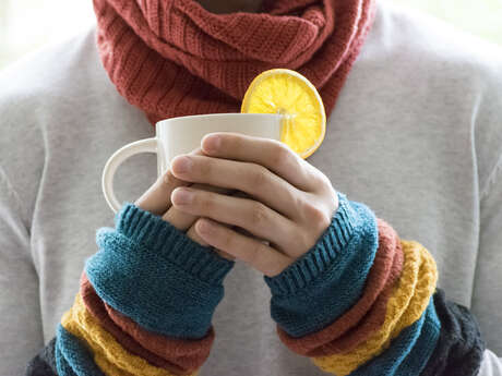 ATELIER DÉCOUVERTE EN HERBORISTERIE - ATELIER SUR LES PLANTES HIVERNALES, ANTIVIRALES ET RESPIRATOIRES.